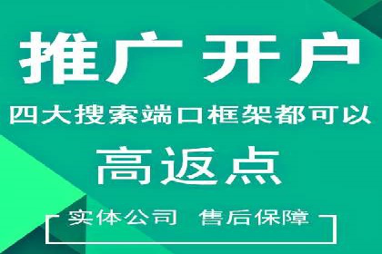 探索SEM推广代运营的奥秘：成功背后的故事